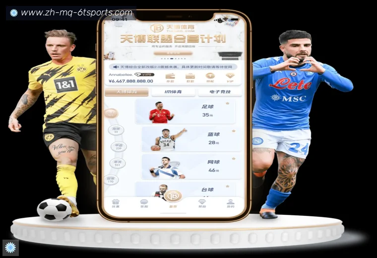 6T体育真人APP