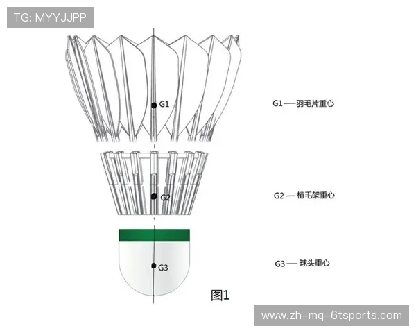 羽毛球由多少更羽毛组成